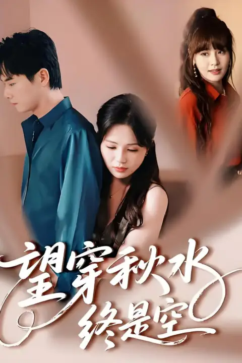 《望穿秋水终是空》封面