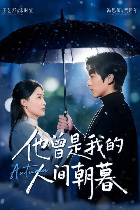 《他曾是我的人间朝暮》封面