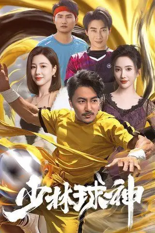 《少林球神》封面