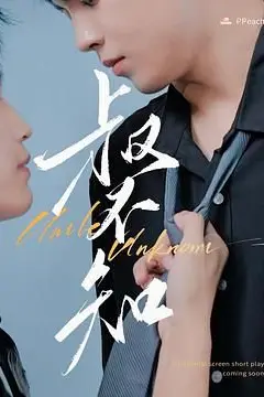 《叔不知》封面