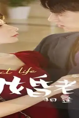 《闪婚老公相逢不相识》封面