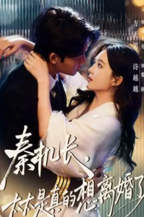 《秦机长，太太是真的想离婚了》封面