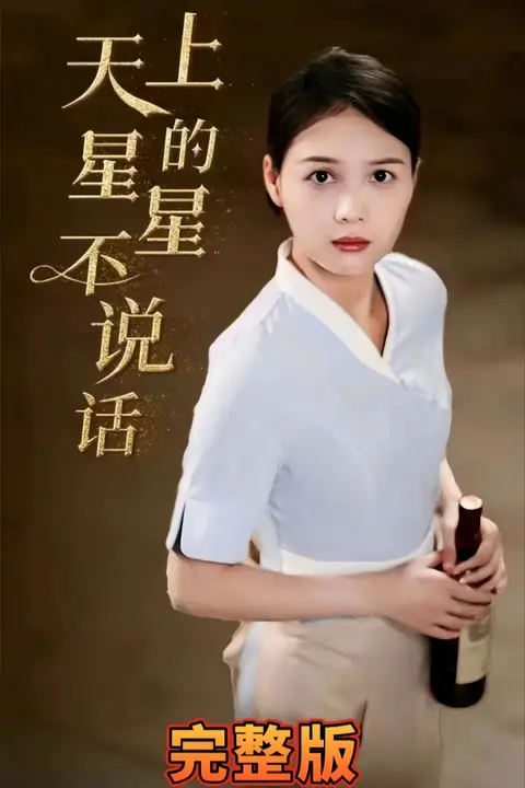 《天上的星星不说话》封面