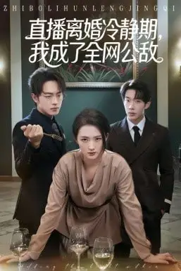 《直播离婚冷静期，我成了全网公敌》封面