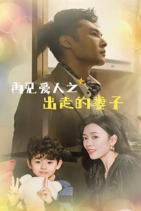 《再见爱人之出走的妻子》封面