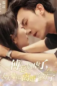《傅总别虐了夫人早把离婚书签好了》封面