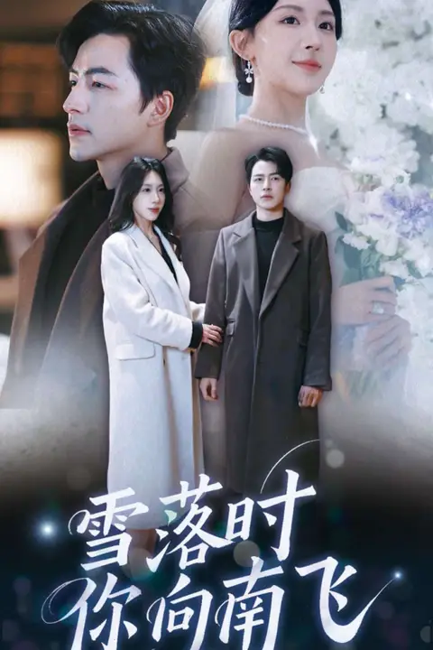 《雪落时你向南飞》封面