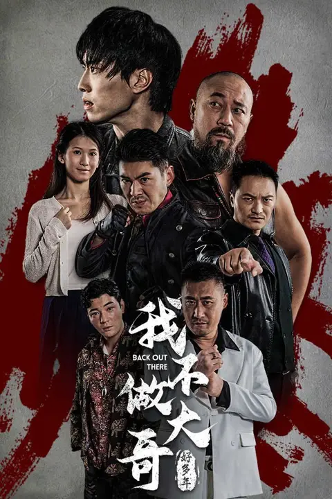 《我不做大哥好多年》封面
