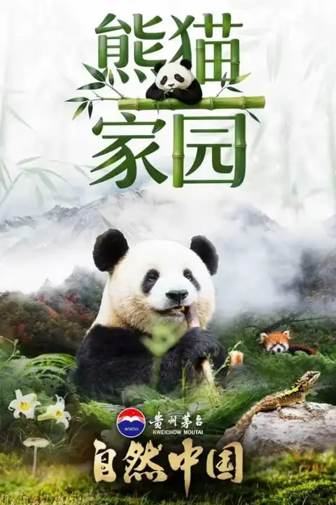 《熊猫家园》封面