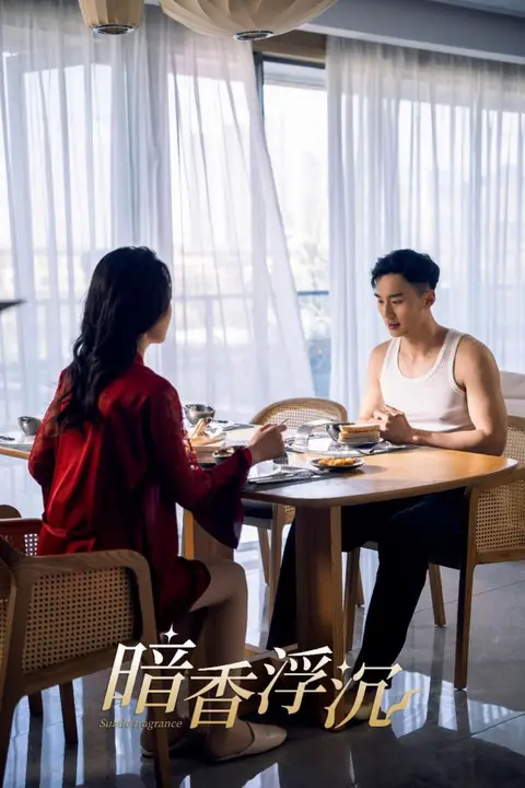 《暗香浮沉》封面