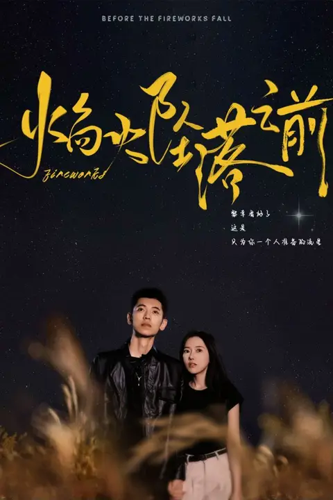 《焰火坠落之前》封面