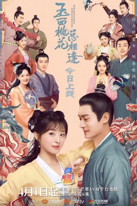 《玉面桃花总相逢》封面