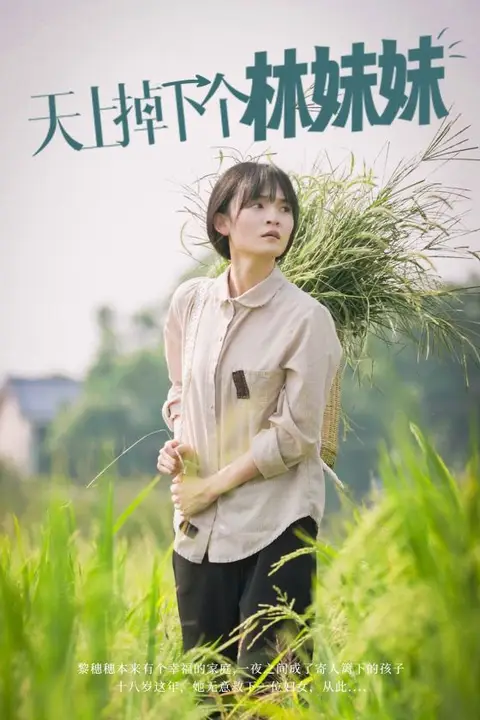 《天上掉下个林妹妹》封面
