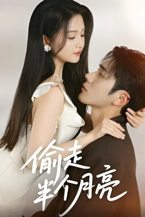 《偷走半个月亮》封面
