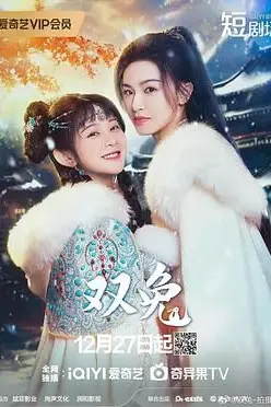 《双兔》封面