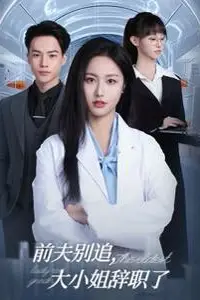 《前夫别追大小姐辞职了》封面