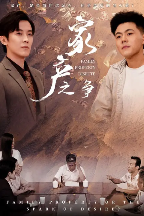 《家产之争》封面