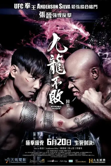 《九龙不败》封面
