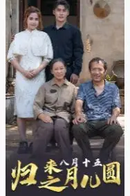 《归来之八月十五月儿圆》封面