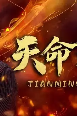 《天命之子》封面