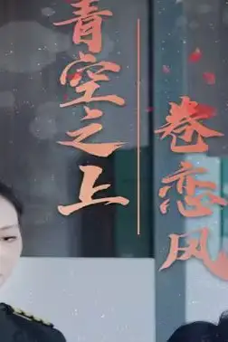 《青空之上卷恋风》封面