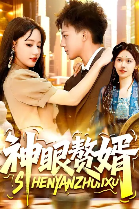 《神眼赘婿》封面