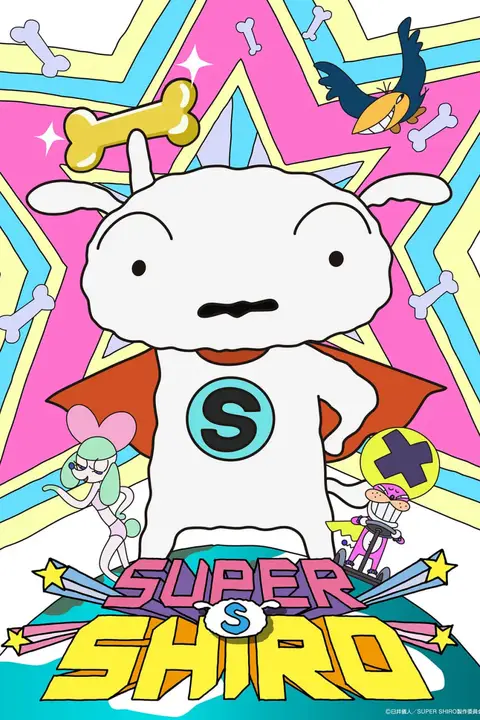 《超级小白》封面