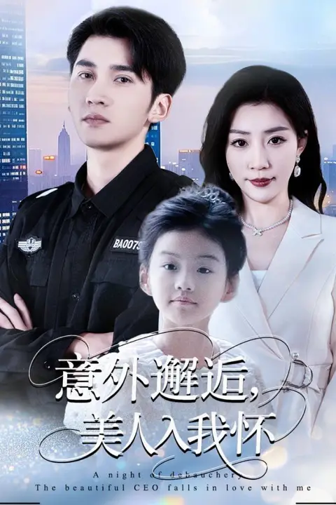 《意外邂逅美人入我怀》封面