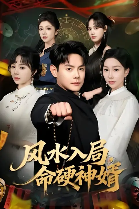 《风水入局，命硬神婿》封面