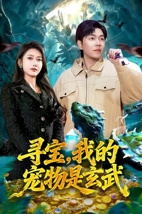 《寻宝,我的宠物是玄武》封面