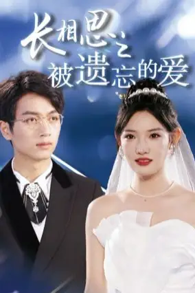 《长相思之被遗忘的爱(以你的名字呼唤我)》封面