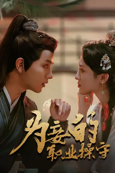 《为妾的职业操守》封面