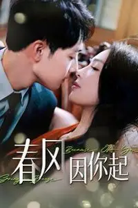 《春风因你起》封面