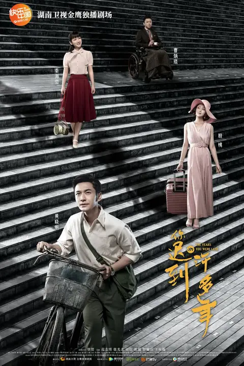 《你迟到的许多年》封面