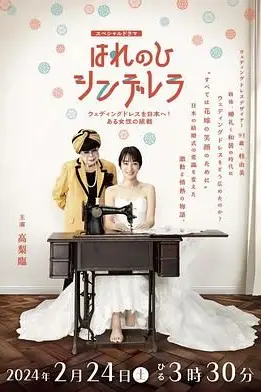 《晴天灰姑娘 把婚纱带到日本！一位女性的挑战》封面