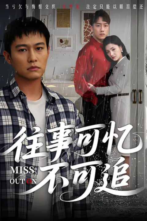 《往事可忆不可追》封面