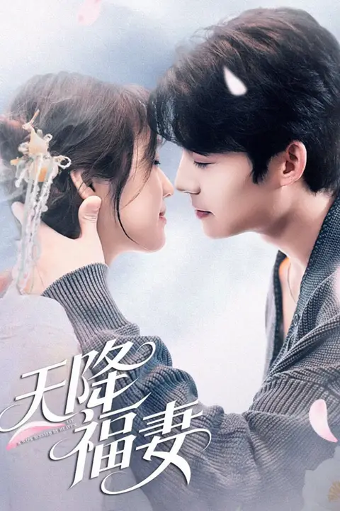 《天降福妻》封面