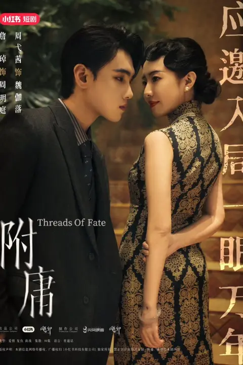 《附庸》封面
