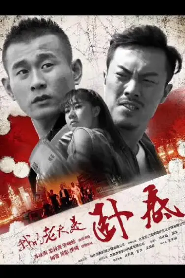 《我的老大是卧底》封面