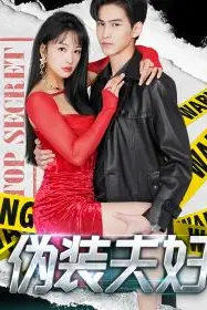 《伪装夫妇》封面