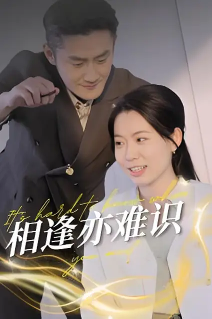 《相逢亦难识》封面