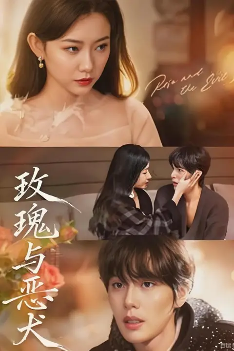 《玫瑰与恶犬》封面