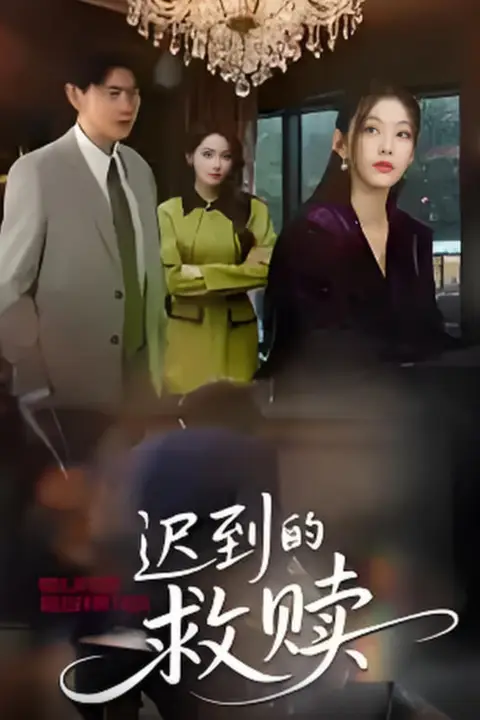 《迟到的救赎 2025》封面