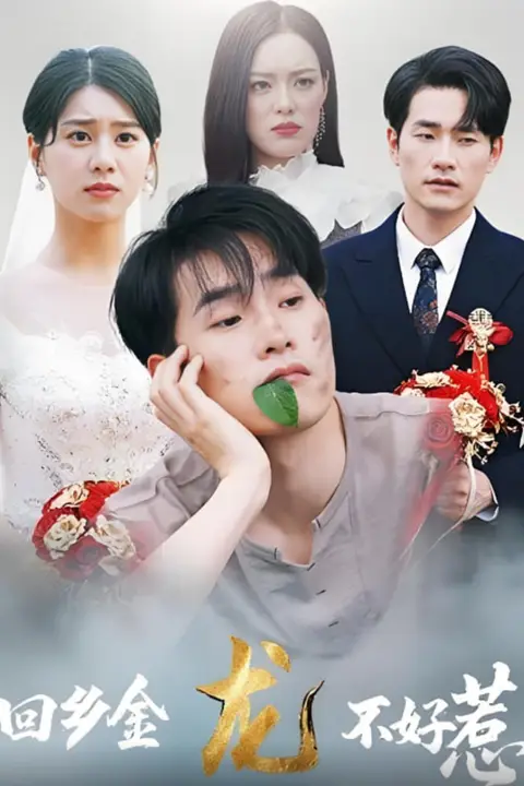 《回乡金龙不好惹》封面