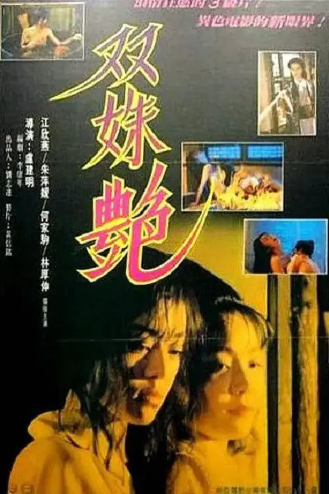 《双姝艳》封面