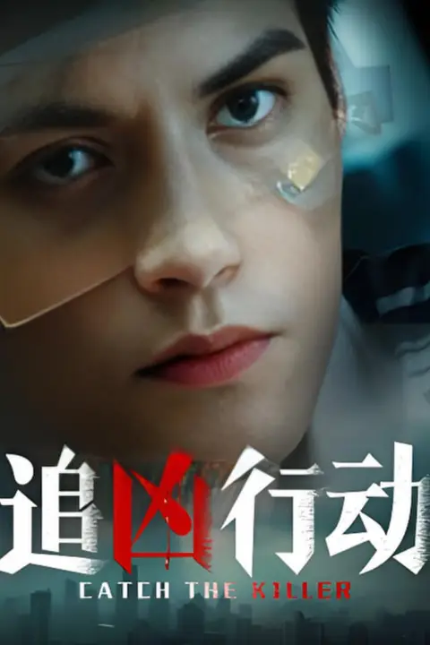 《追凶行动》封面