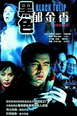 《黑色郁金香》封面