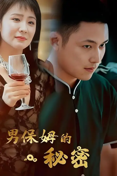 《男保姆的秘密》封面