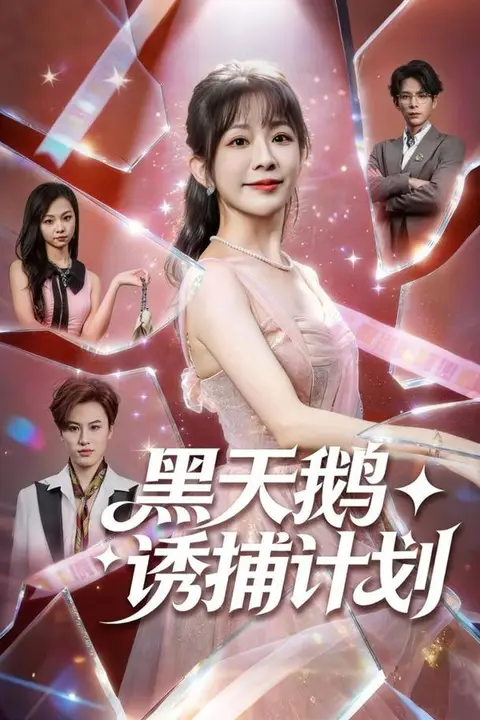 《黑天鹅诱捕计划》封面