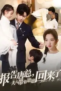 《报告唐总夫人带着崽崽回来了》封面